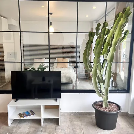 Appartement Cactus *
