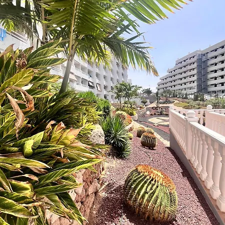 Appartement Cactus *