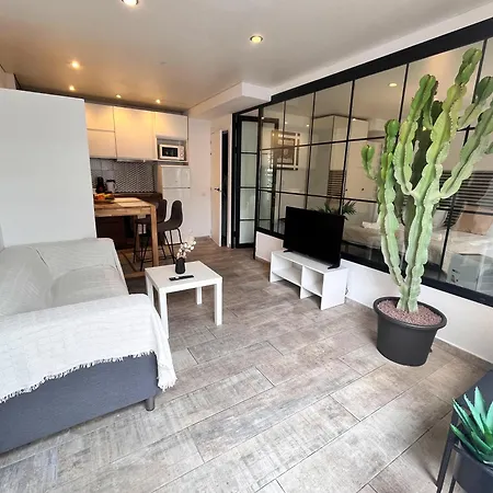 Apartamento Cactus Playa Feñabe