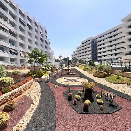 Cactus Playa Fanabe