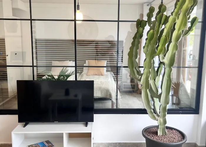 Apartament Cactus *