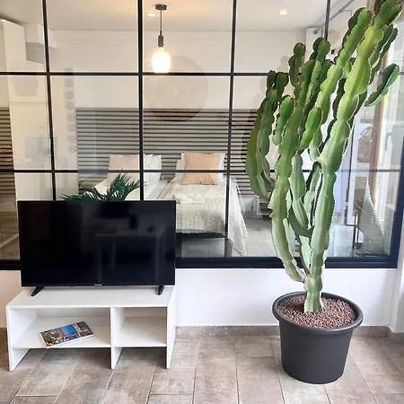 Апартаменты Cactus *