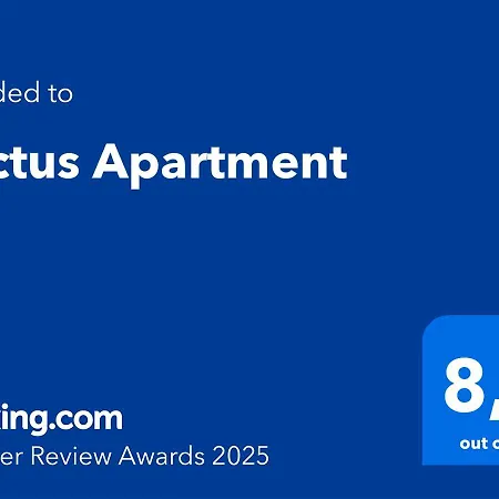 Cactus * Плайя-Фаньябе
