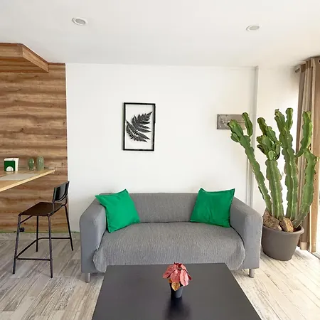 Cactus Apartament Playa Feñabe