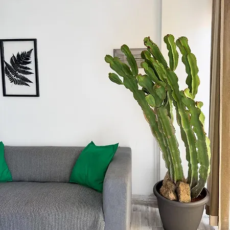 Cactus Playa Feñabe