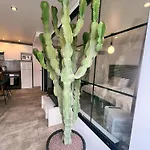 Cactus *